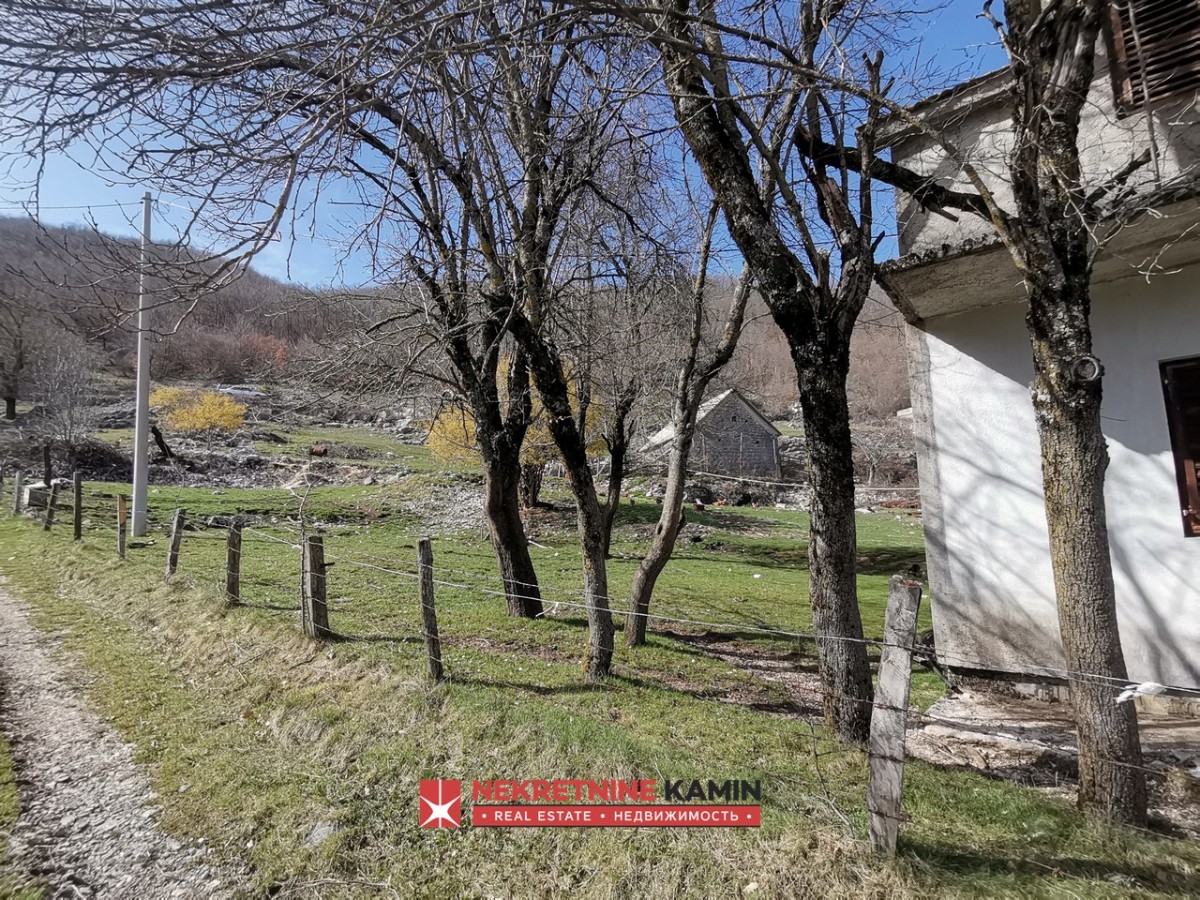 Large Estate with an Old House and Arable Land, Grahovo, Nikšić